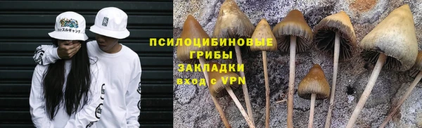 винт Вяземский