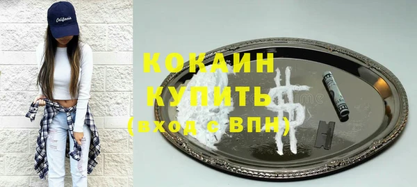 PSILOCYBIN Вязники