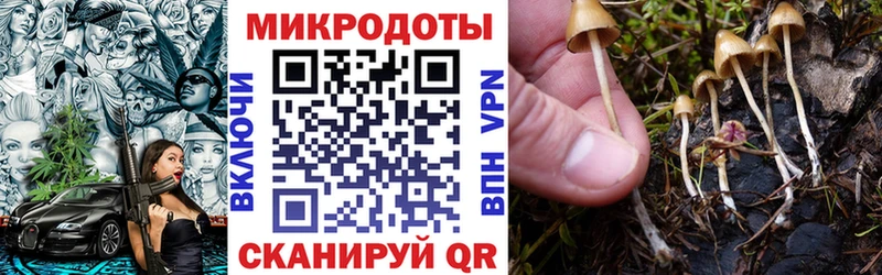 дарнет шоп  Дмитровск  Галлюциногенные грибы Magic Shrooms 