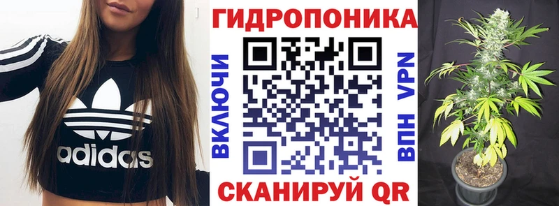 Бошки Шишки индика  Дмитровск 
